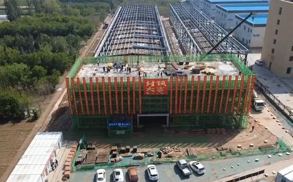 工期缩短20%：武山武山钢结构安装高空焊接工艺要点